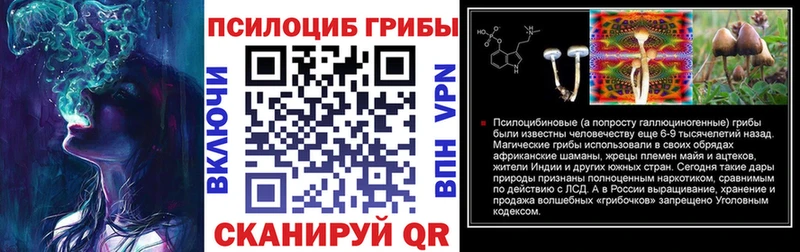 Галлюциногенные грибы Psilocybine cubensis дарк нет официальный сайт Катав-Ивановск купить наркотик