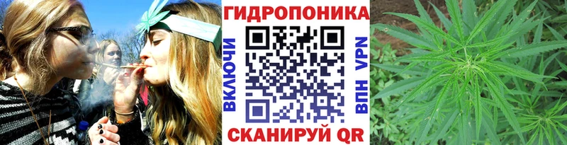 Бошки Шишки план  Катав-Ивановск 